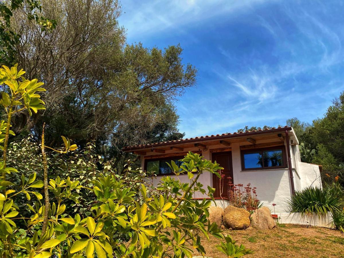 L'Albero Magico - Casa vacanza in uno stazzo con vista mare nella campagna  tra Santa Teresa e Palau